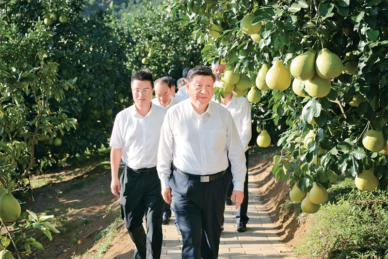 图片 3.png